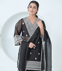 VELVET LACES ORGANZA KURTA SET WITH DUPATTA