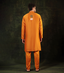 HALDI HORIZON PICHWAI KURTA SET