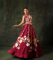 RANI BOTANICAL BEAUTY LEHENGA SET