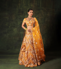 AMALTAS BLOOM PICHWAI LEHENGA SET